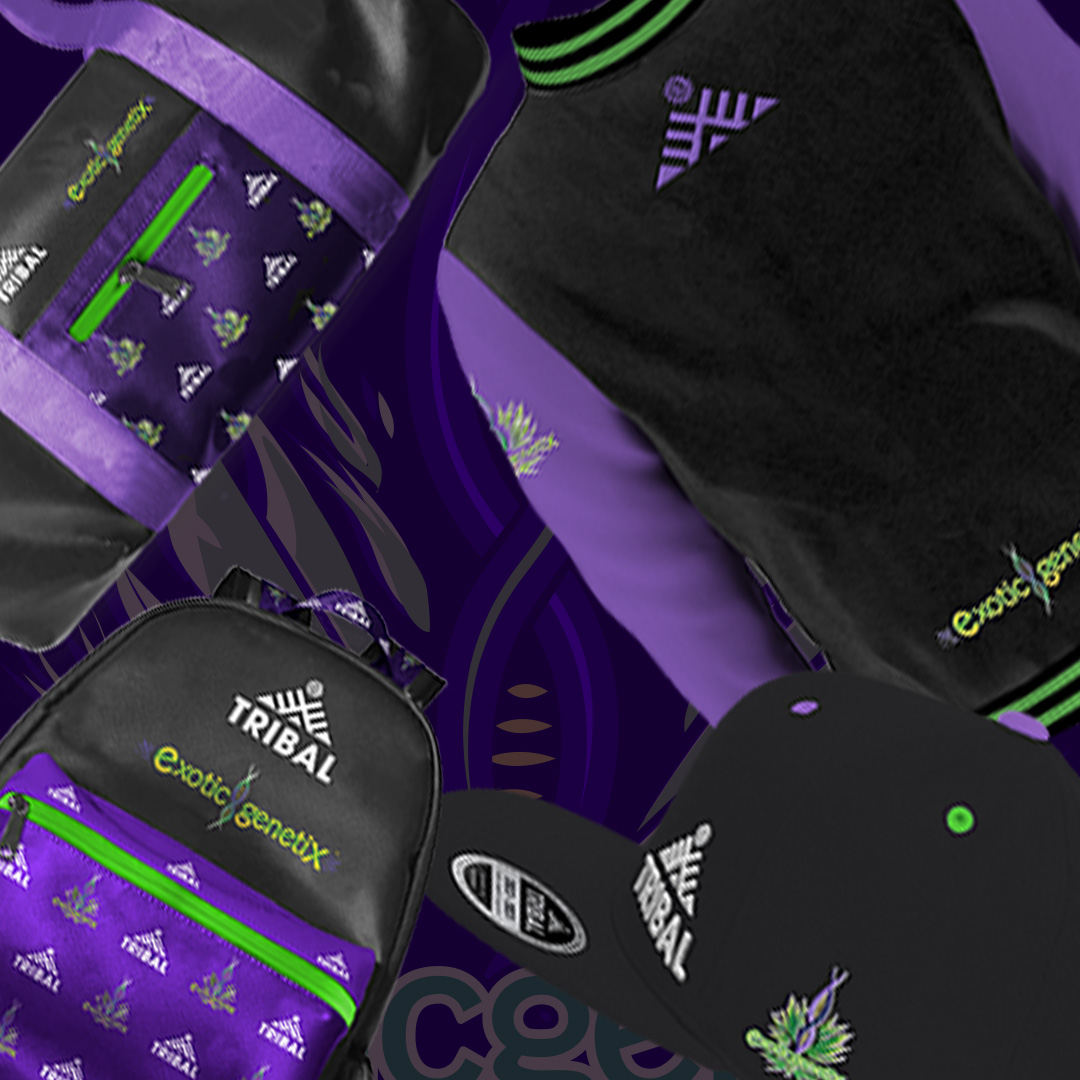Tribal x Exotic Genetix Collection